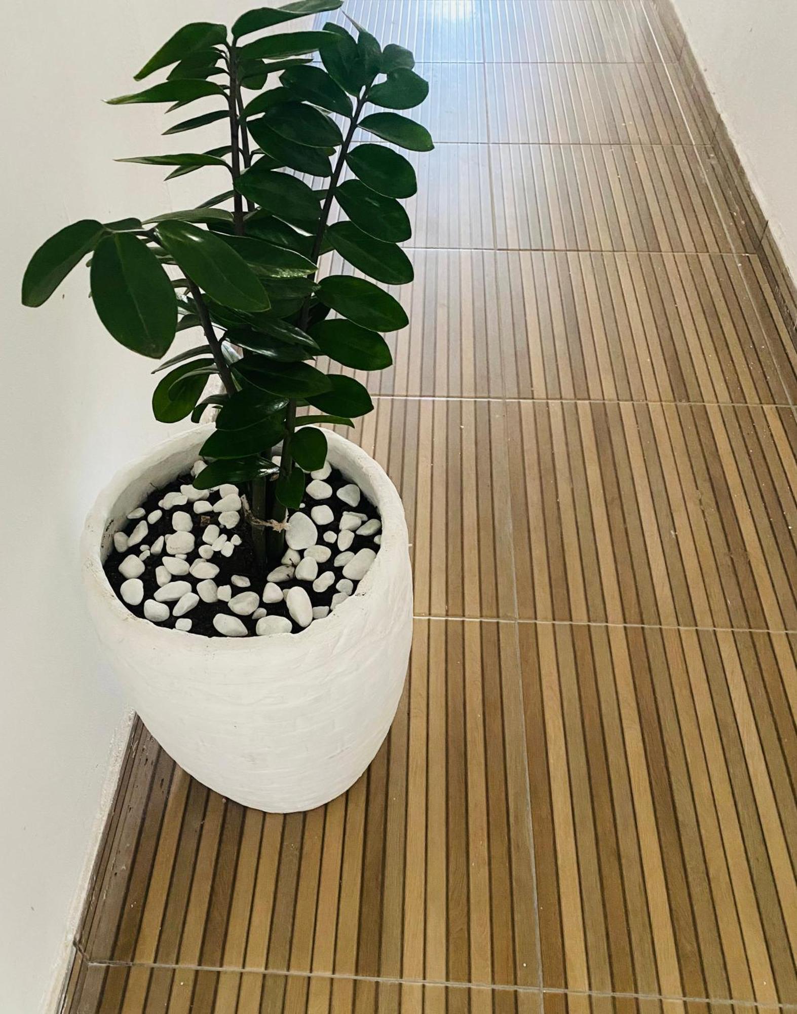 Novo Liz 1 Apartamento *